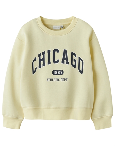 Name It - NKFFabia Sweatshirt - Pear Sorbet